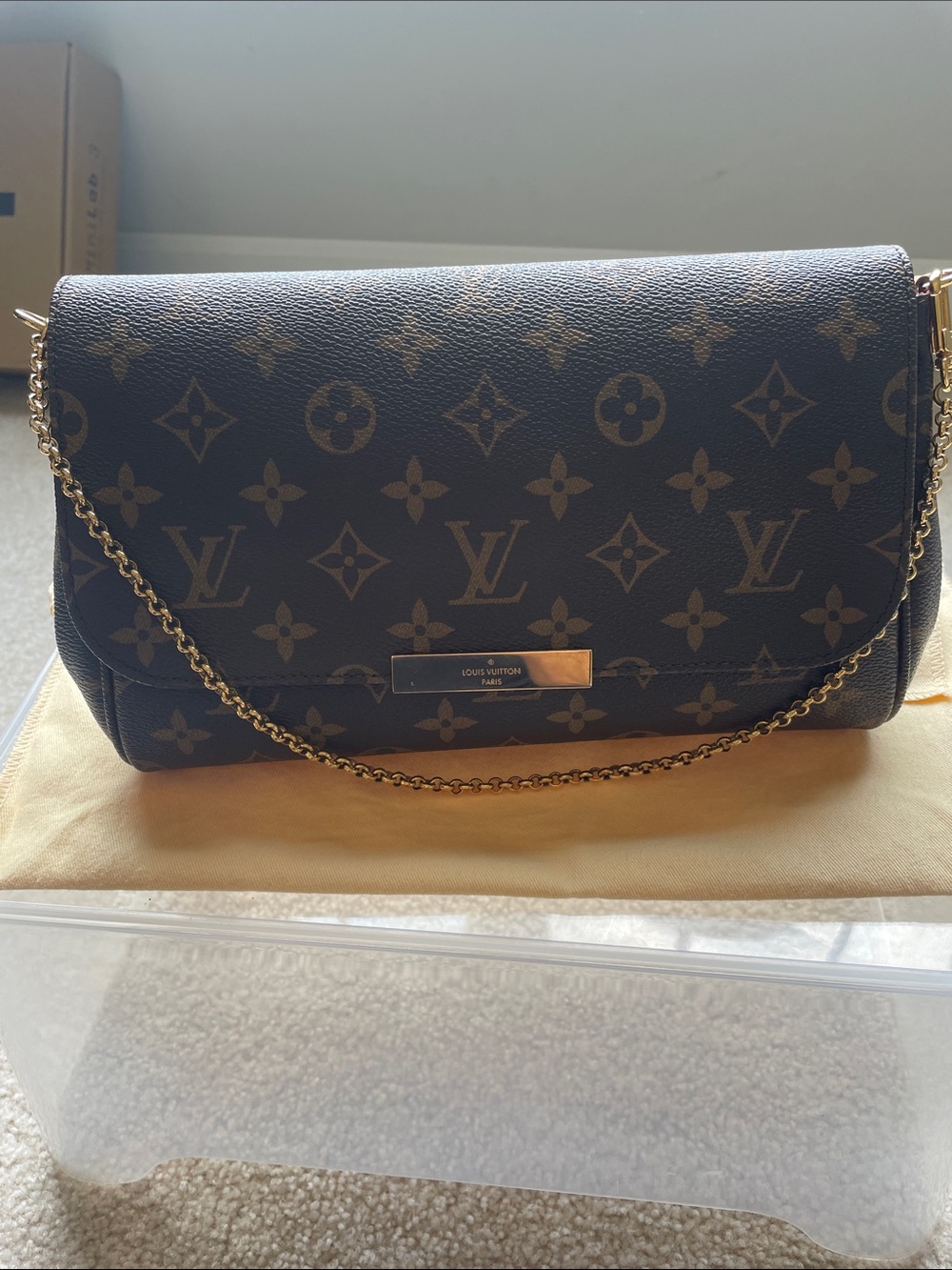 Louis Vuitton Favorite MM Monogram